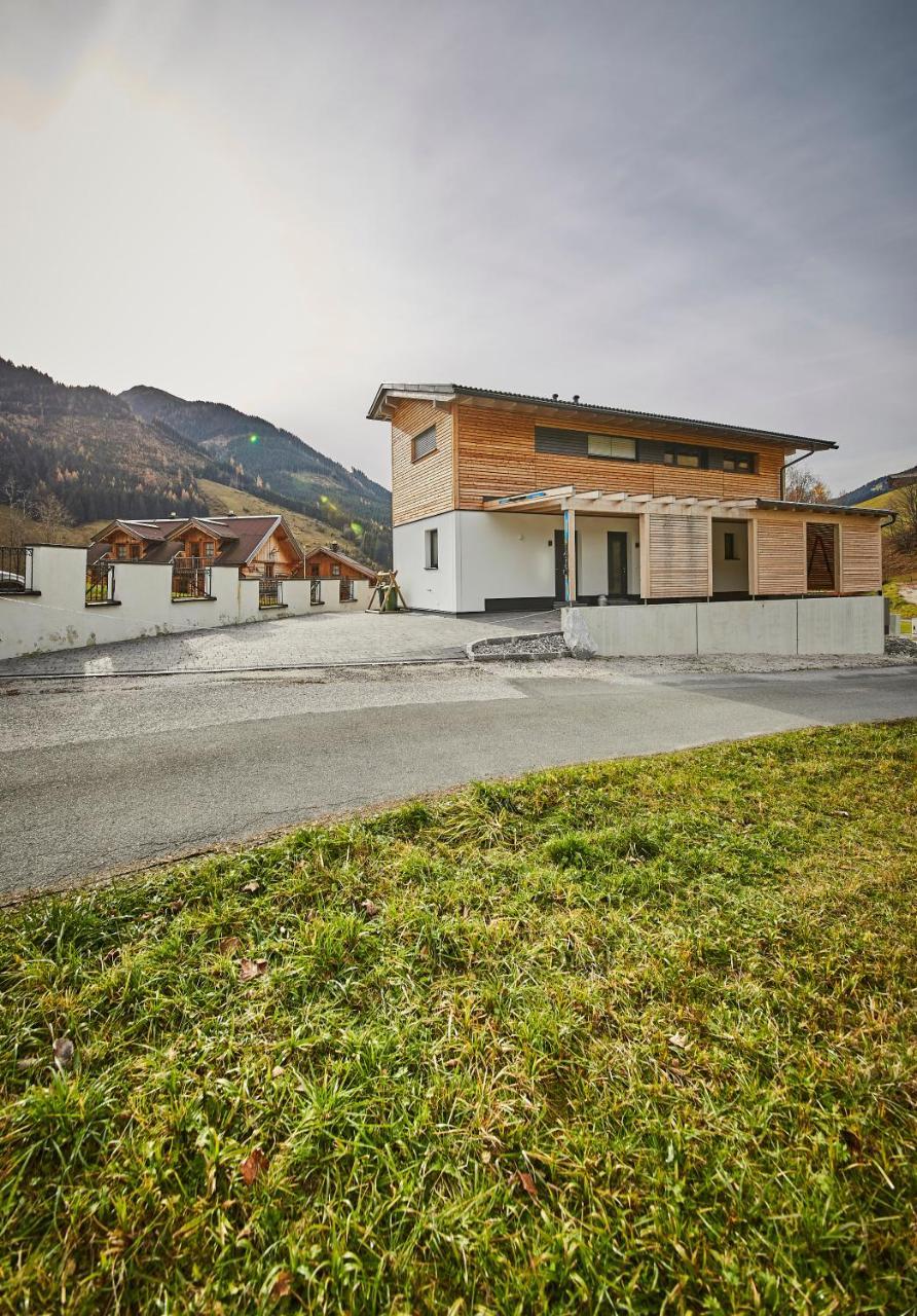Вилла Chalet Pantera Зальбах-Хинтерглемм Экстерьер фото